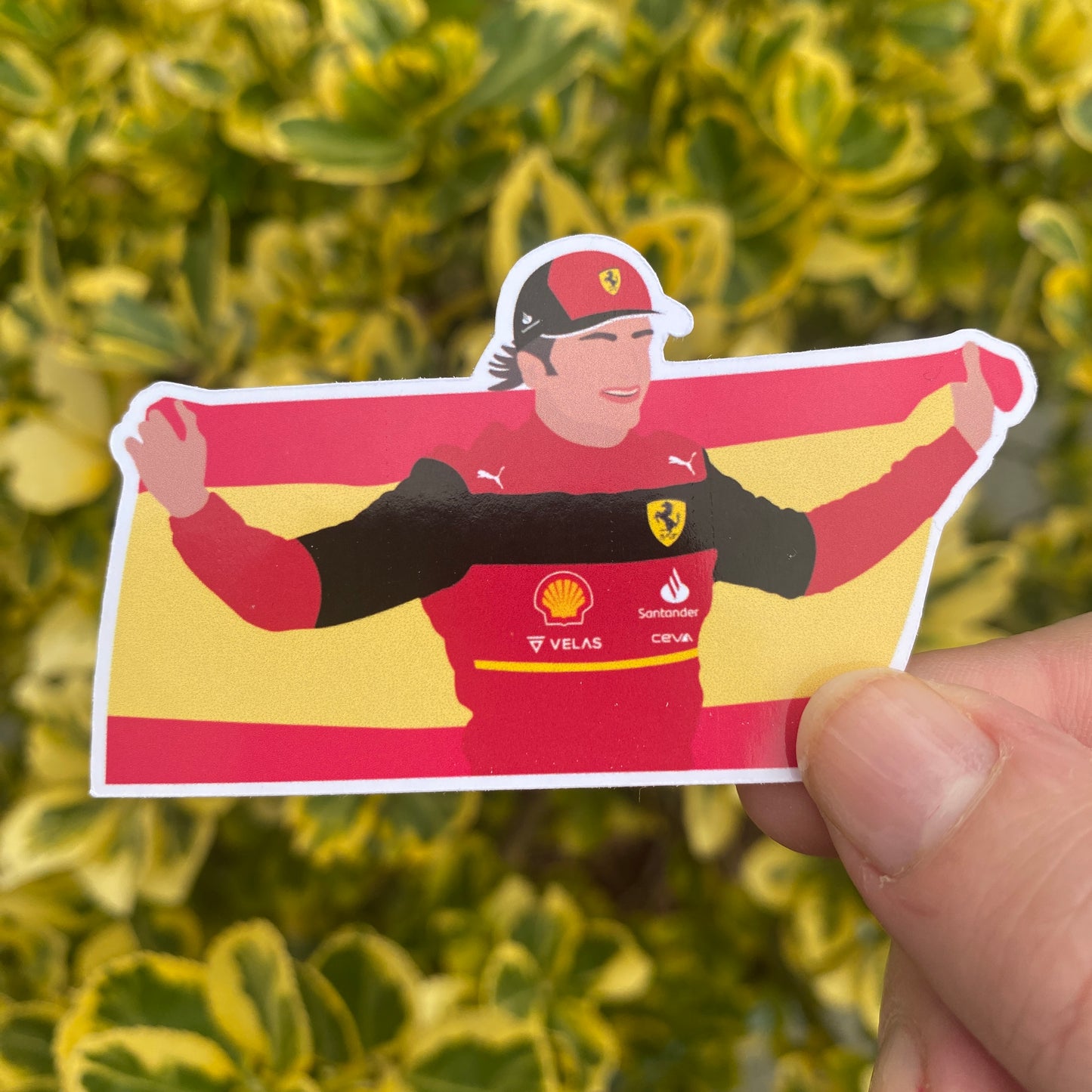 Carlos Sainz First Win Spanish Flag Illustration Sticker